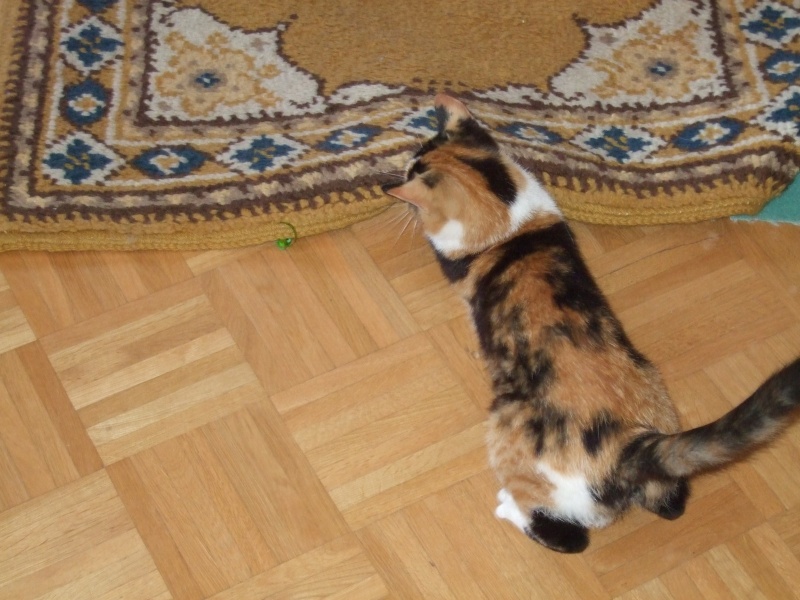 Ostern 2007 Orleshausen 124 